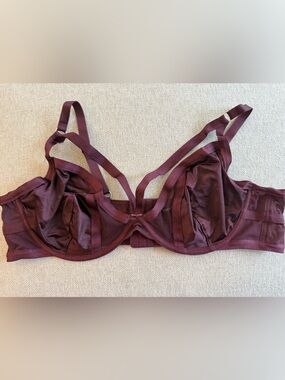 Sexy Sheer Bra in Deep Wine